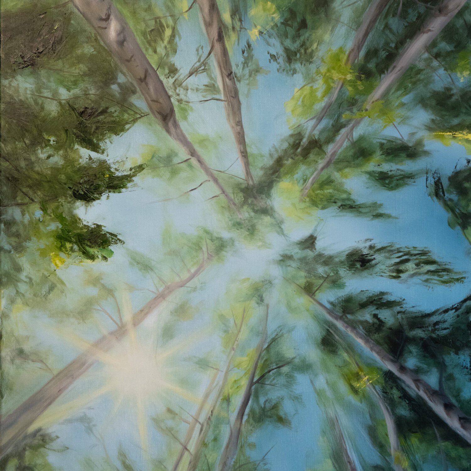 Ölgemälde von Alexandra Hörhager aus der Moments-Serie: der Blick senkrecht nach oben in ein sommerliches Blätterdach, schlanke Baumstämme streben zur Bildmitte, dazwischen Sonnenlicht und blauer Himmel.