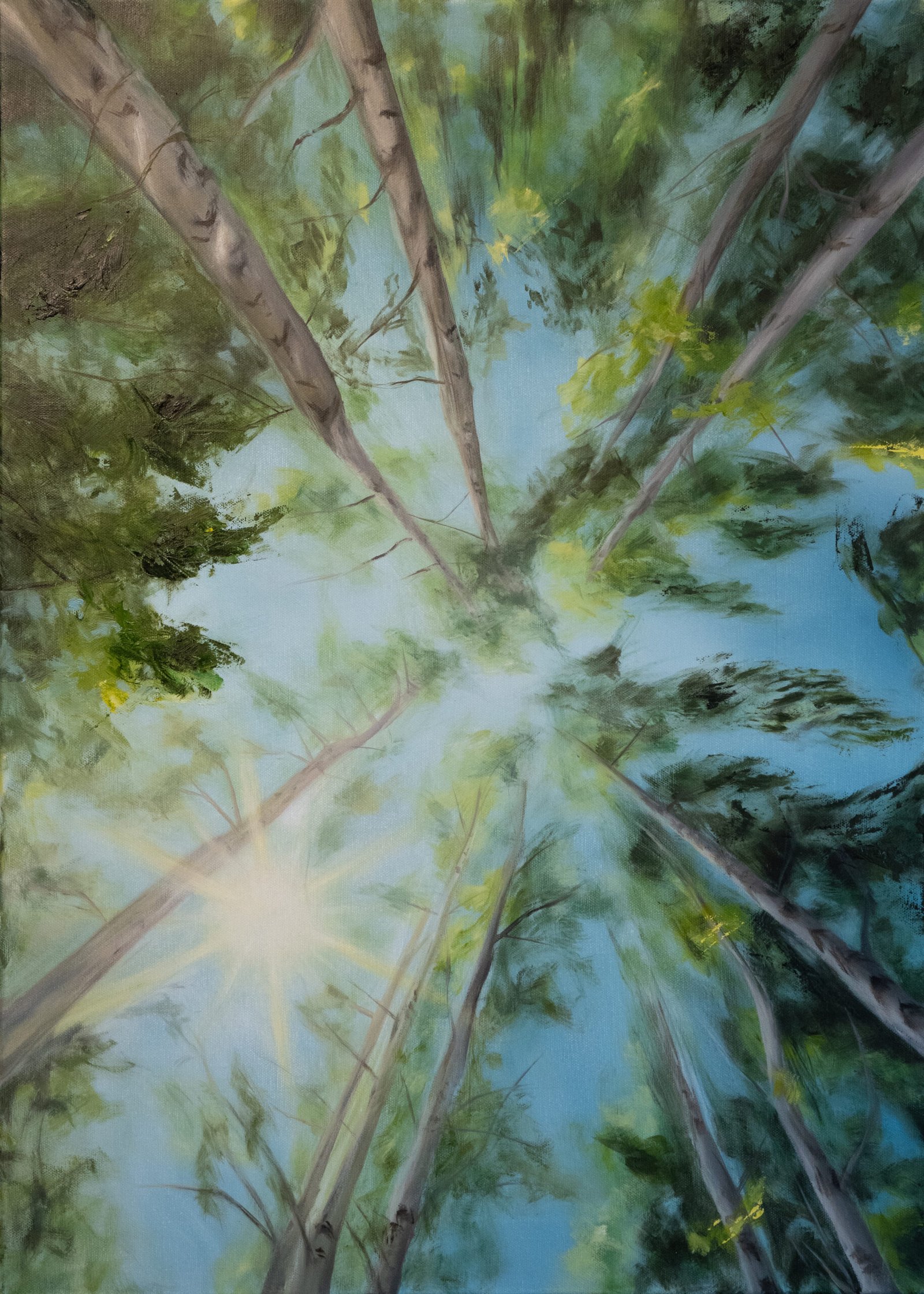 Ölgemälde von Alexandra Hörhager aus der Moments-Serie: der Blick senkrecht nach oben in ein sommerliches Blätterdach, schlanke Baumstämme streben zur Bildmitte, dazwischen Sonnenlicht und blauer Himmel.