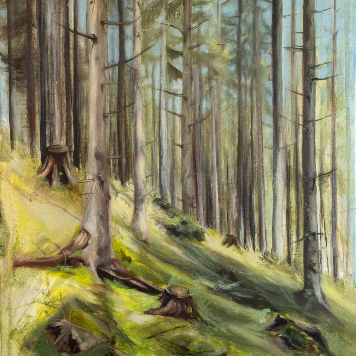 Ölgemälde von Alexandra Hörhager aus der 12-Monate-Serie: ein lichtdurchfluteter Fichtenwald im Sommer, hohe schlanke Stämme, ein moosbewachsener Hang mit Baumstümpfen, warmes Grün und Gelb im einfallenden Licht.