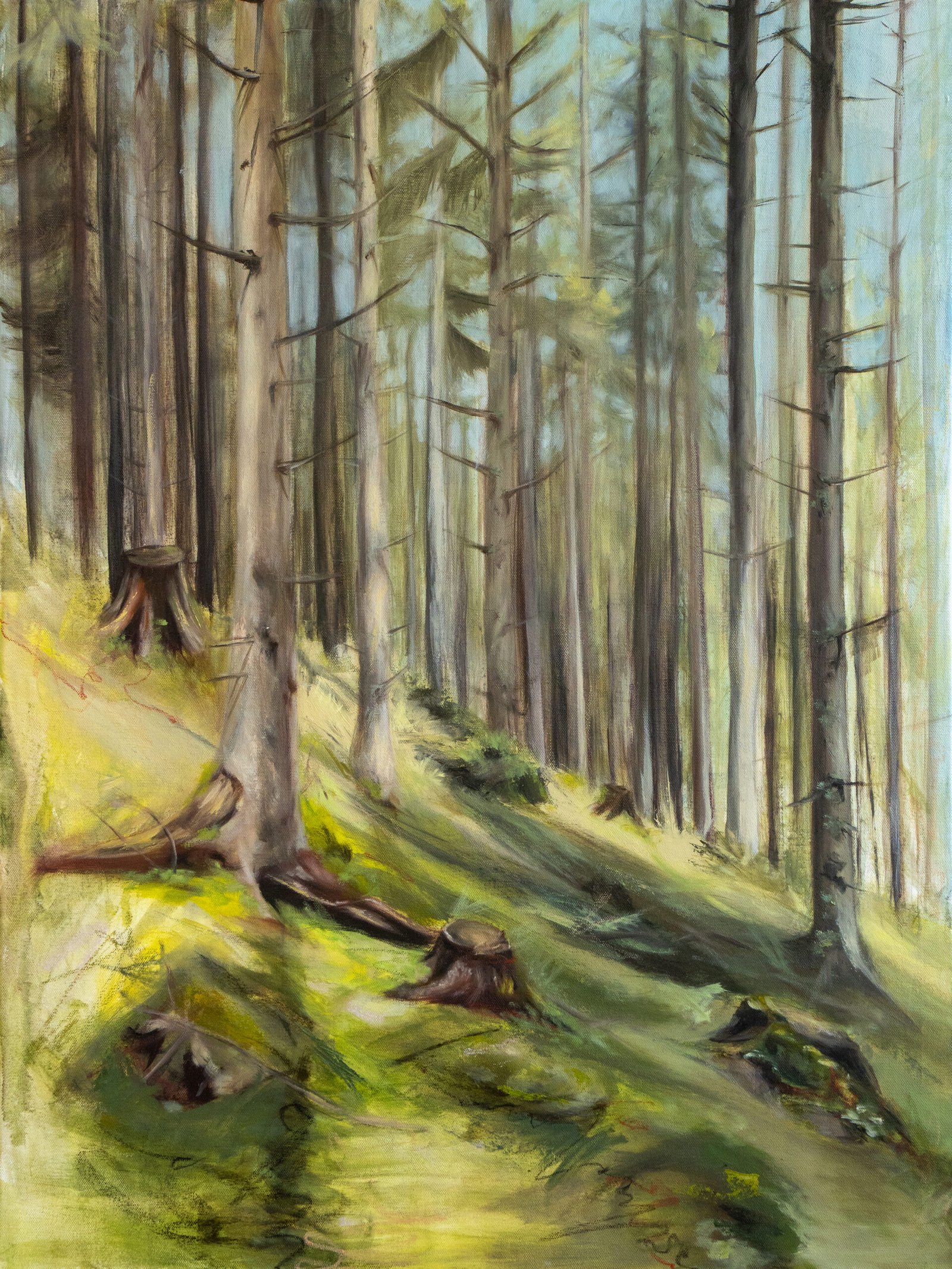 Ölgemälde von Alexandra Hörhager aus der 12-Monate-Serie: ein lichtdurchfluteter Fichtenwald im Sommer, hohe schlanke Stämme, ein moosbewachsener Hang mit Baumstümpfen, warmes Grün und Gelb im einfallenden Licht.
